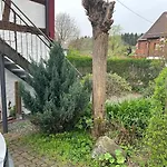 Hornauer